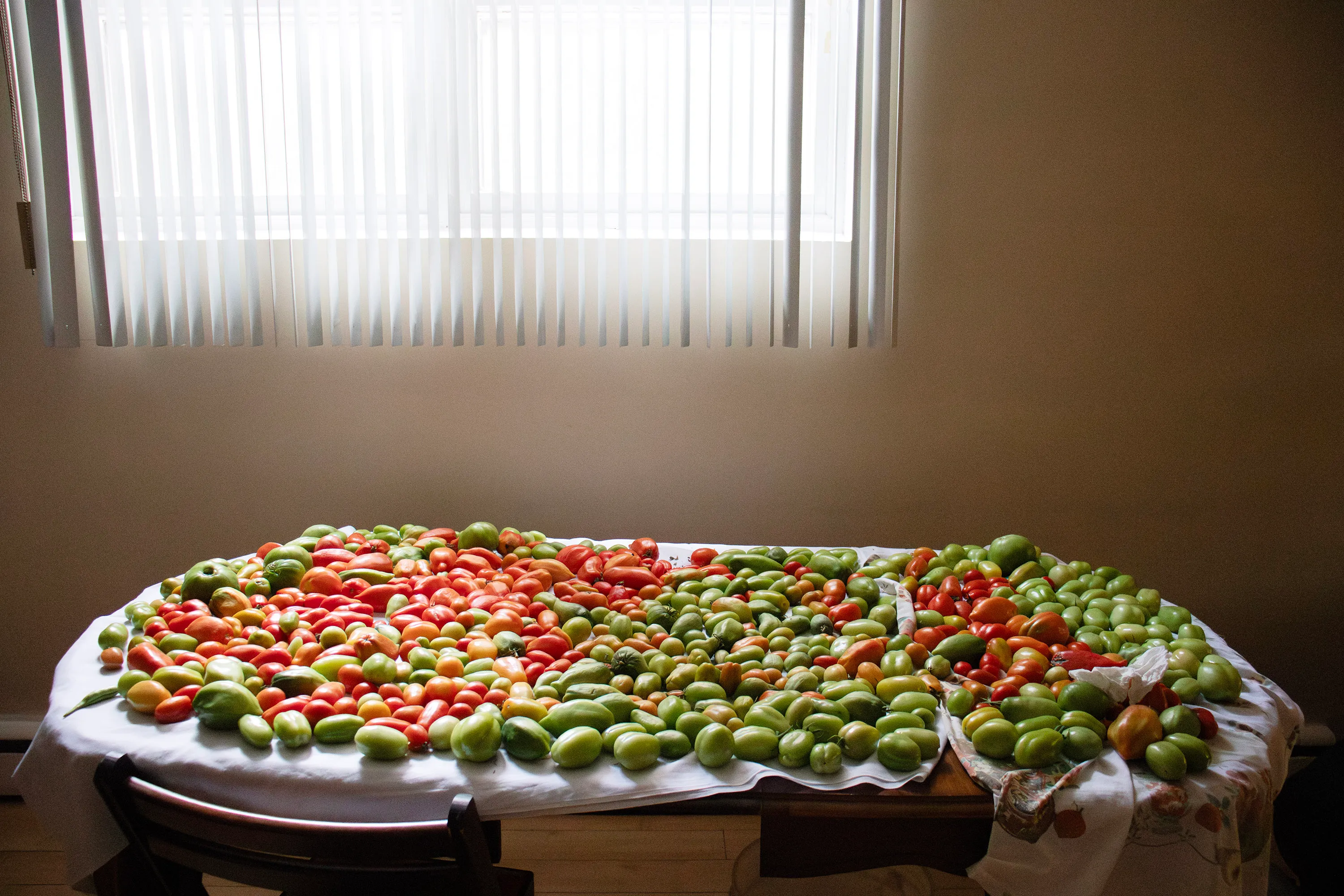 Nonna's tomatoes