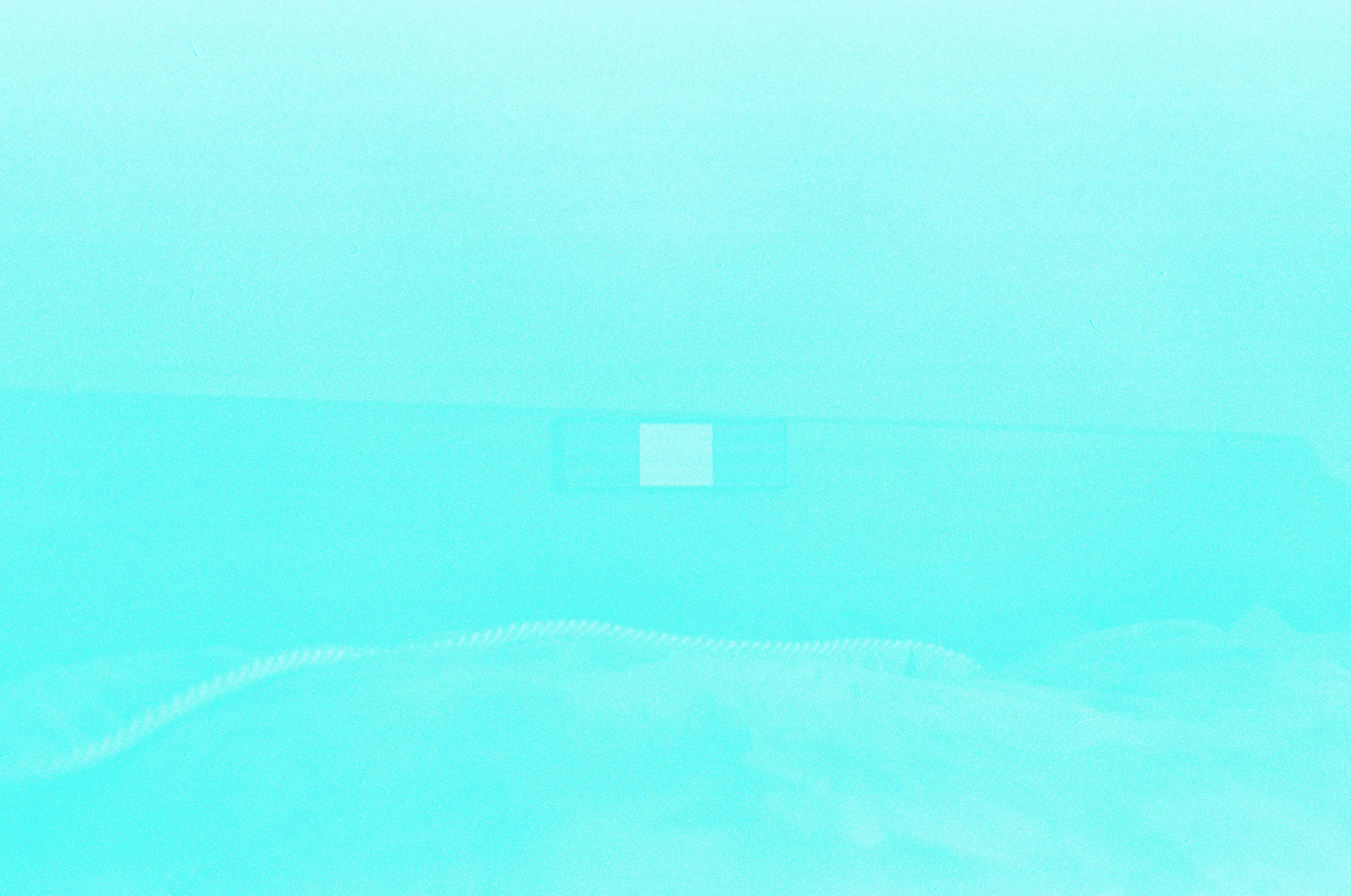 Expired film scan